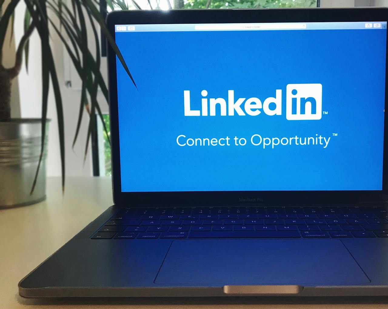 LinkedIn for Creatives